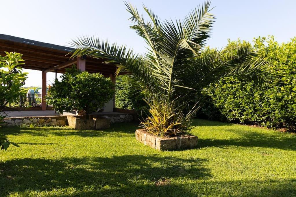 Casale Toscano Piscina Wi-Fi Capannori Exteriör bild